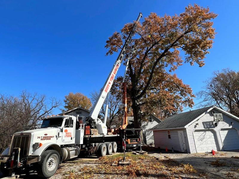 residential tree removal; lift being used to remove tree over house