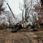 Buff's Tree Service - tree removal & tree trimming in Illinois