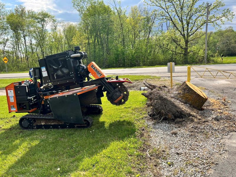 stump grinding