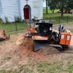 stump grinding services with professional stump grinder