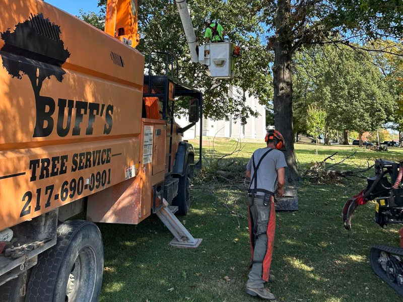 Buff's Tree Service orange truck in yard, person in lift truck