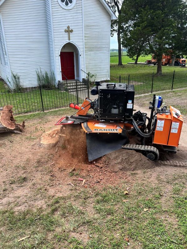 stump grinding