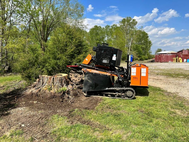 stump grinding in Effingham, Illinois; stump grinding in Vandalia, Illinois; stump removal