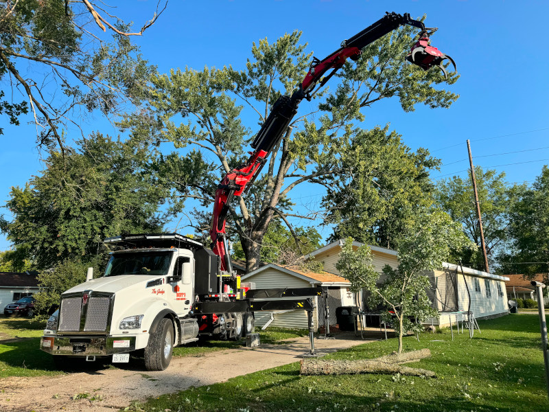 tree removal services