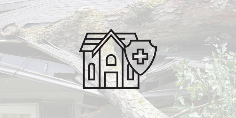 Does Homeowners Insurance Cover Tree Removal in Effingham,. IL?