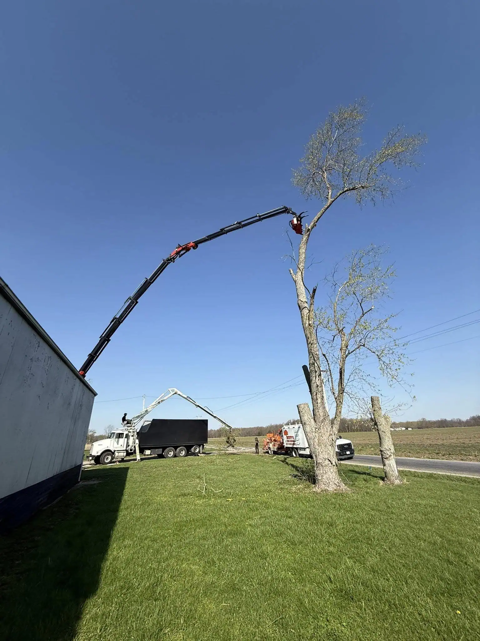 Tree Trimmers in Vandalia, IL | Buff’s Tree Service