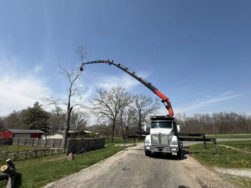 Tree removal and snow clearing service in Effingham County IL