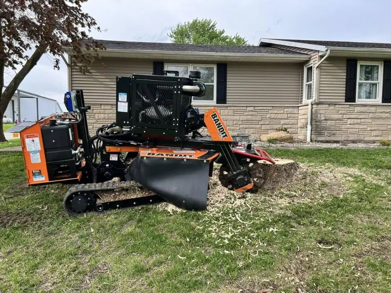 Tree trimming and stump grinding service in Effingham County IL